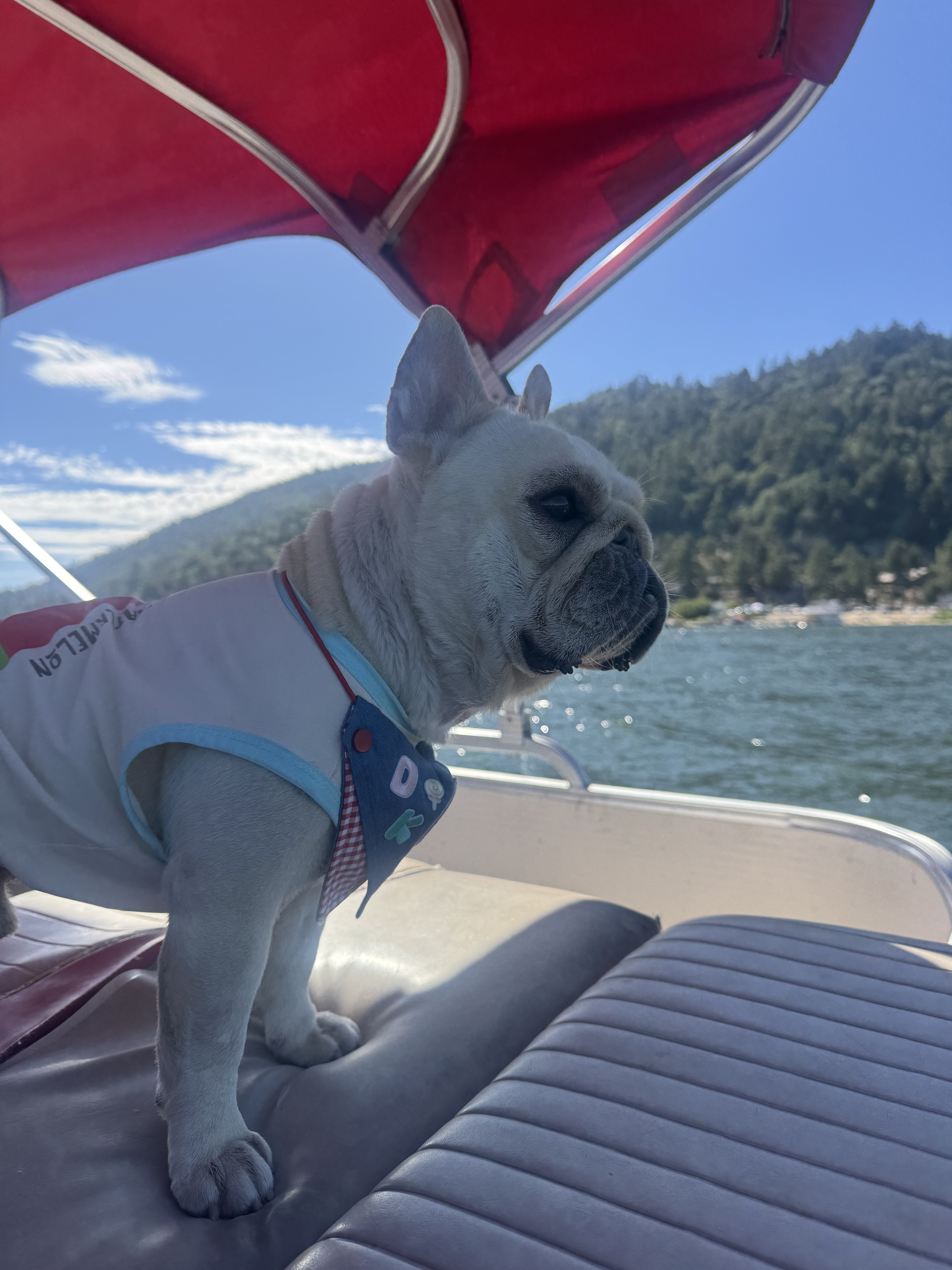Dirk on his first boat ride