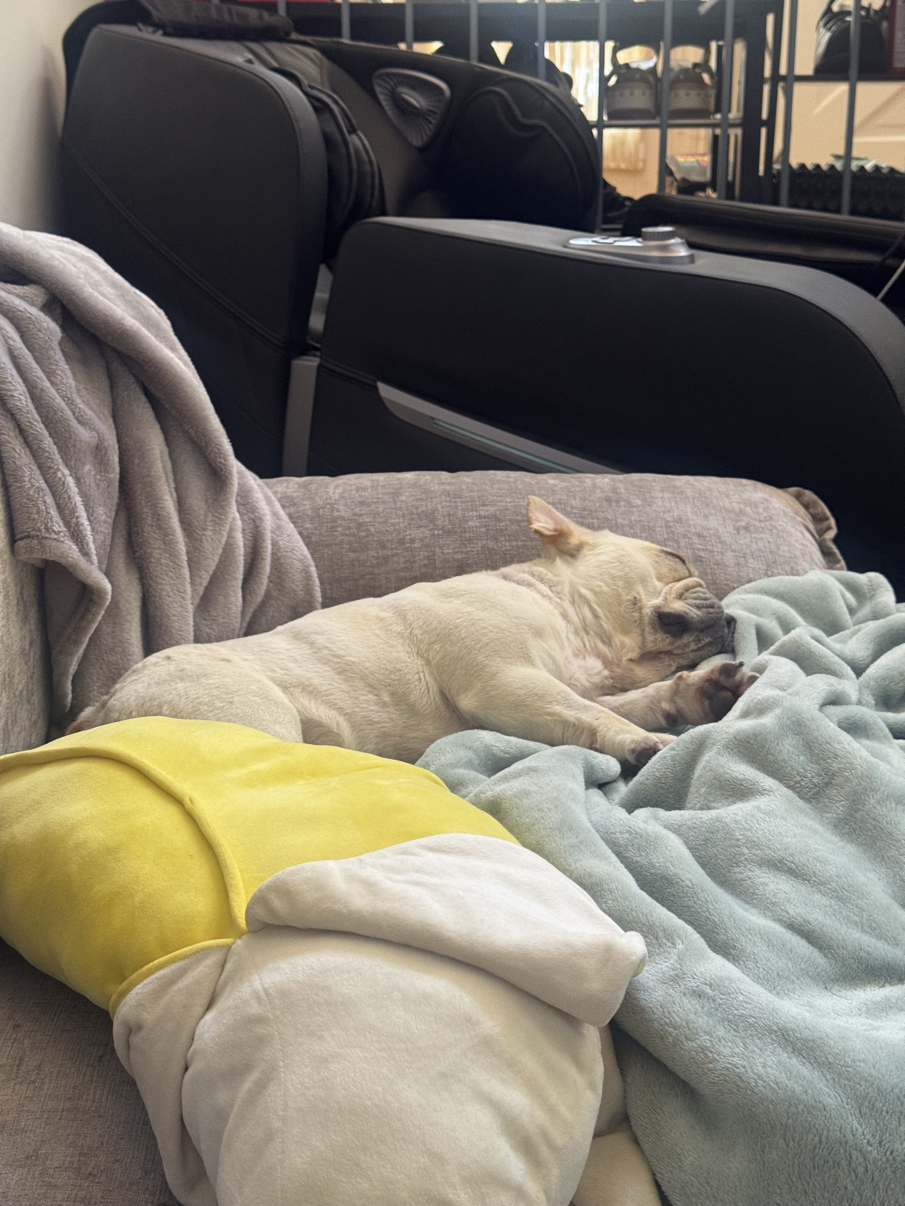 Dirk napping