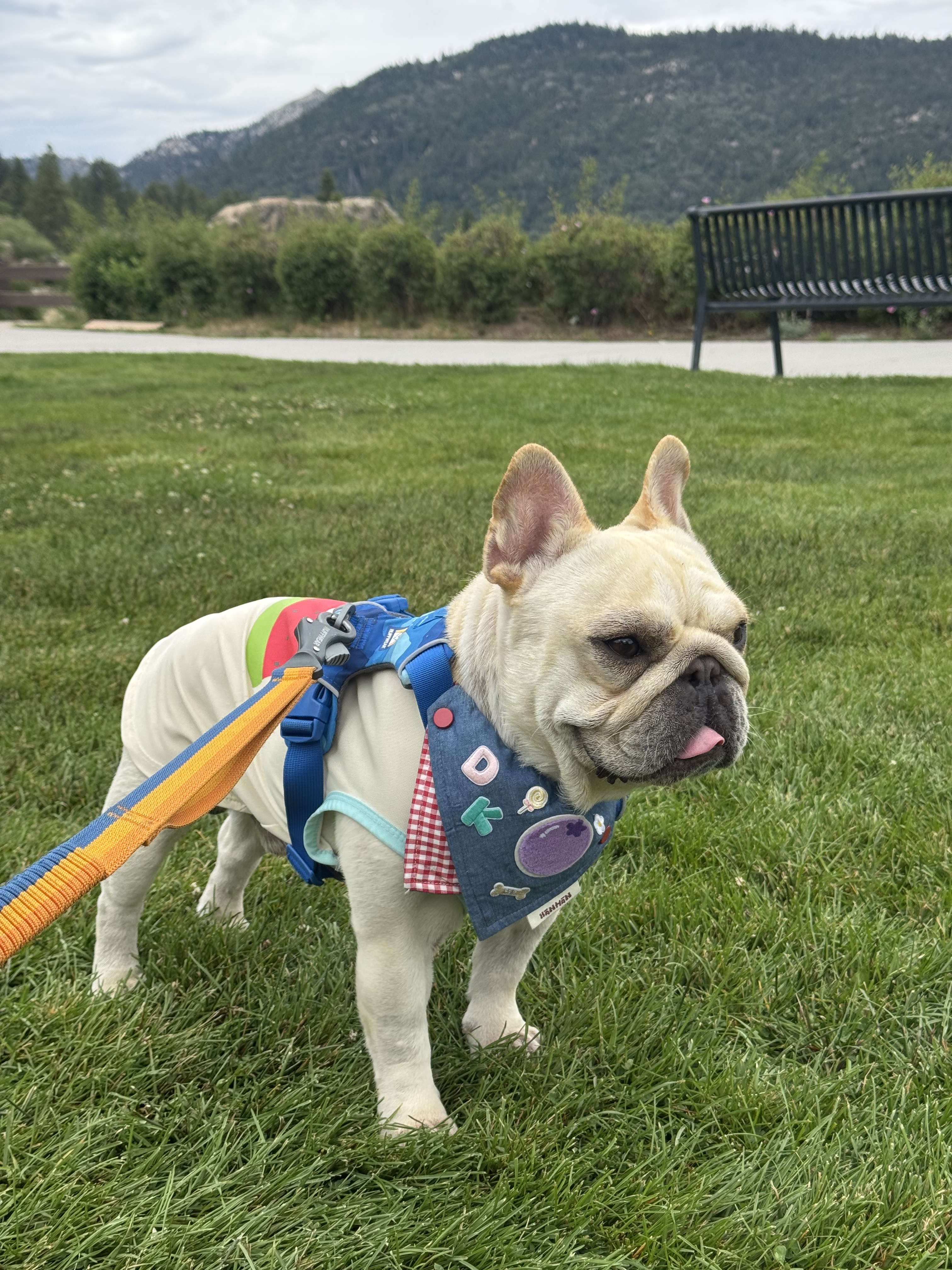 Dirk standing in a sunny Big Bear park