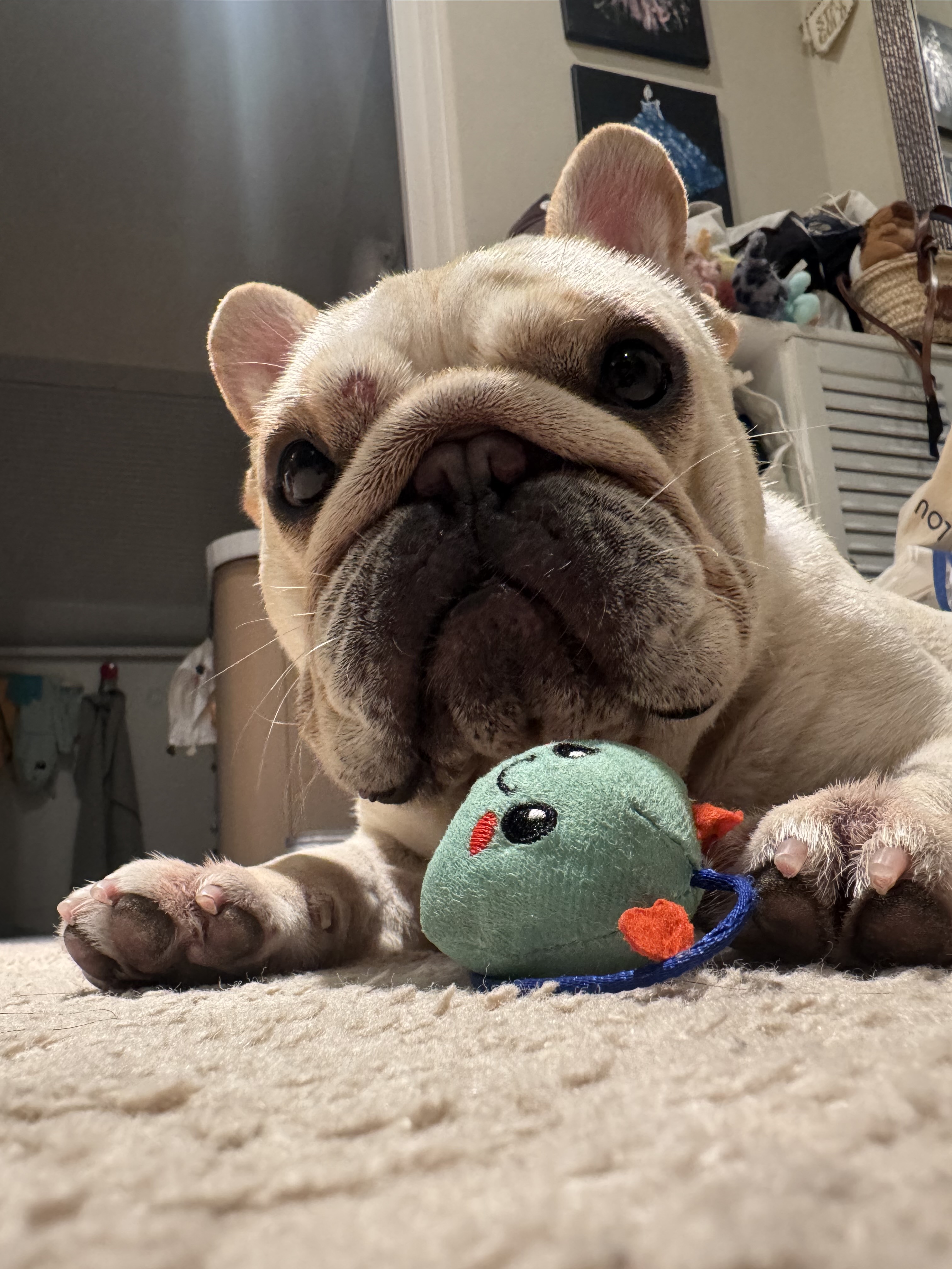 Dirk with his bedtime toy