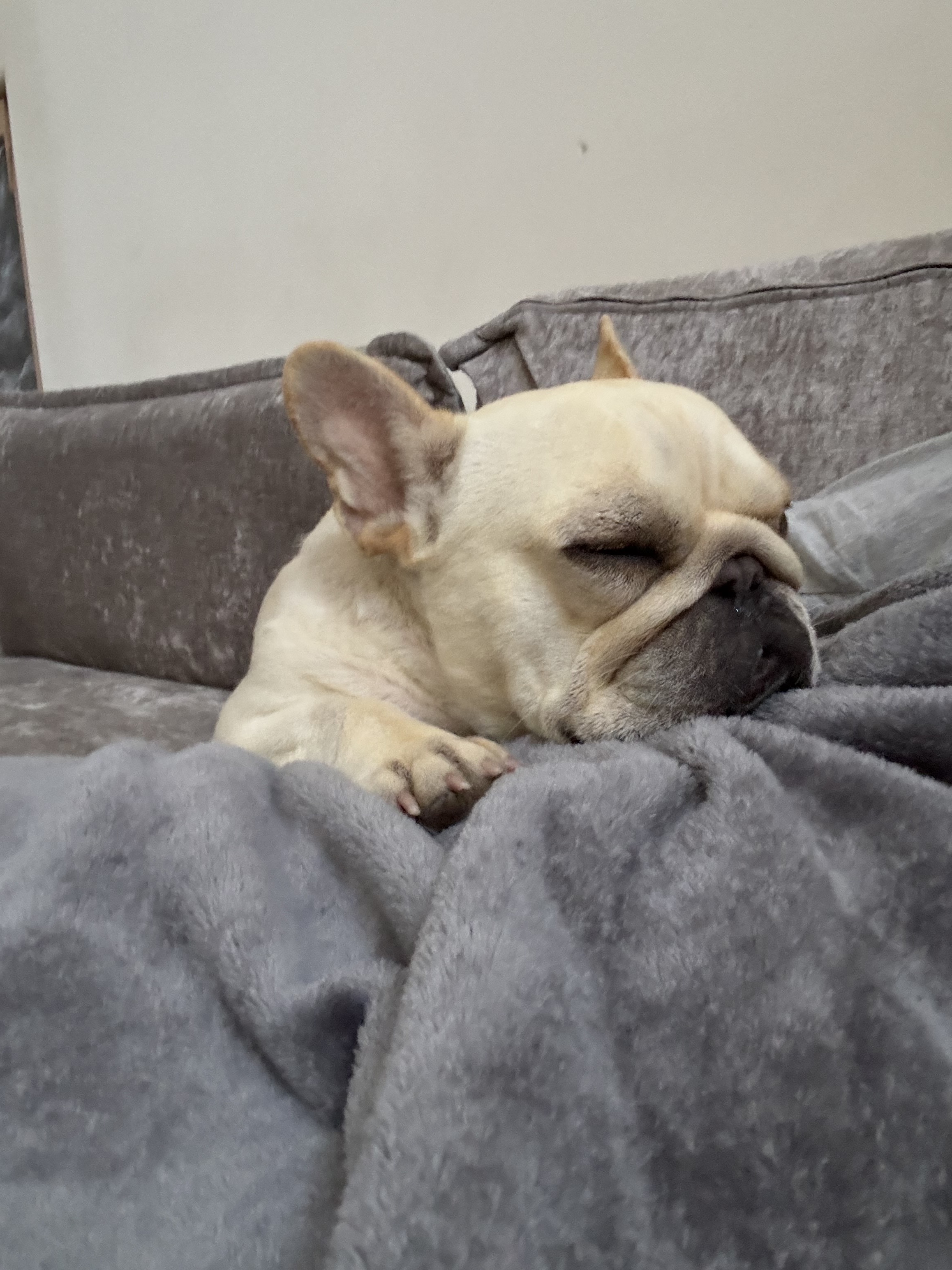 Dirk resting after work