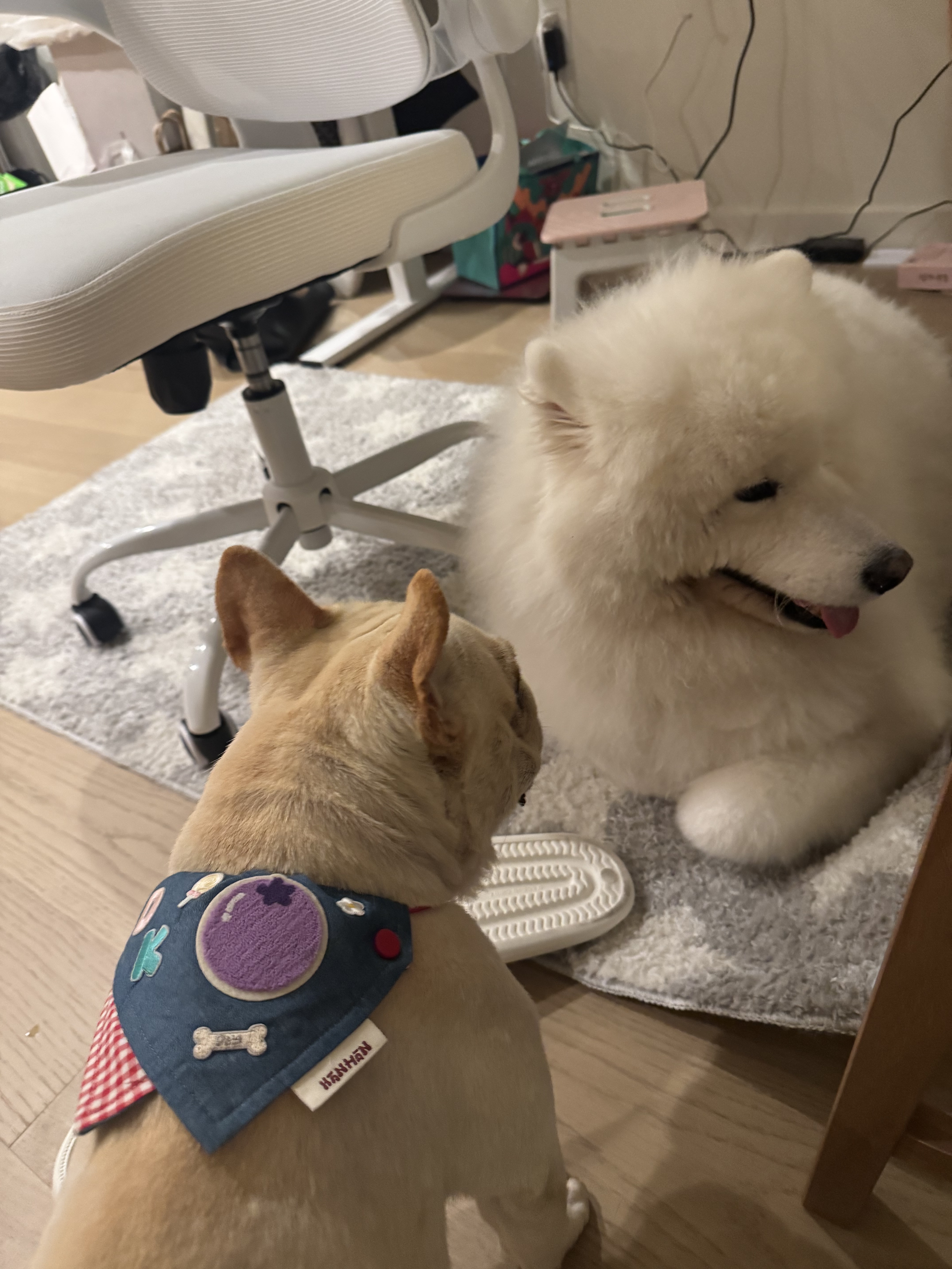 Dirk meeting Luffy