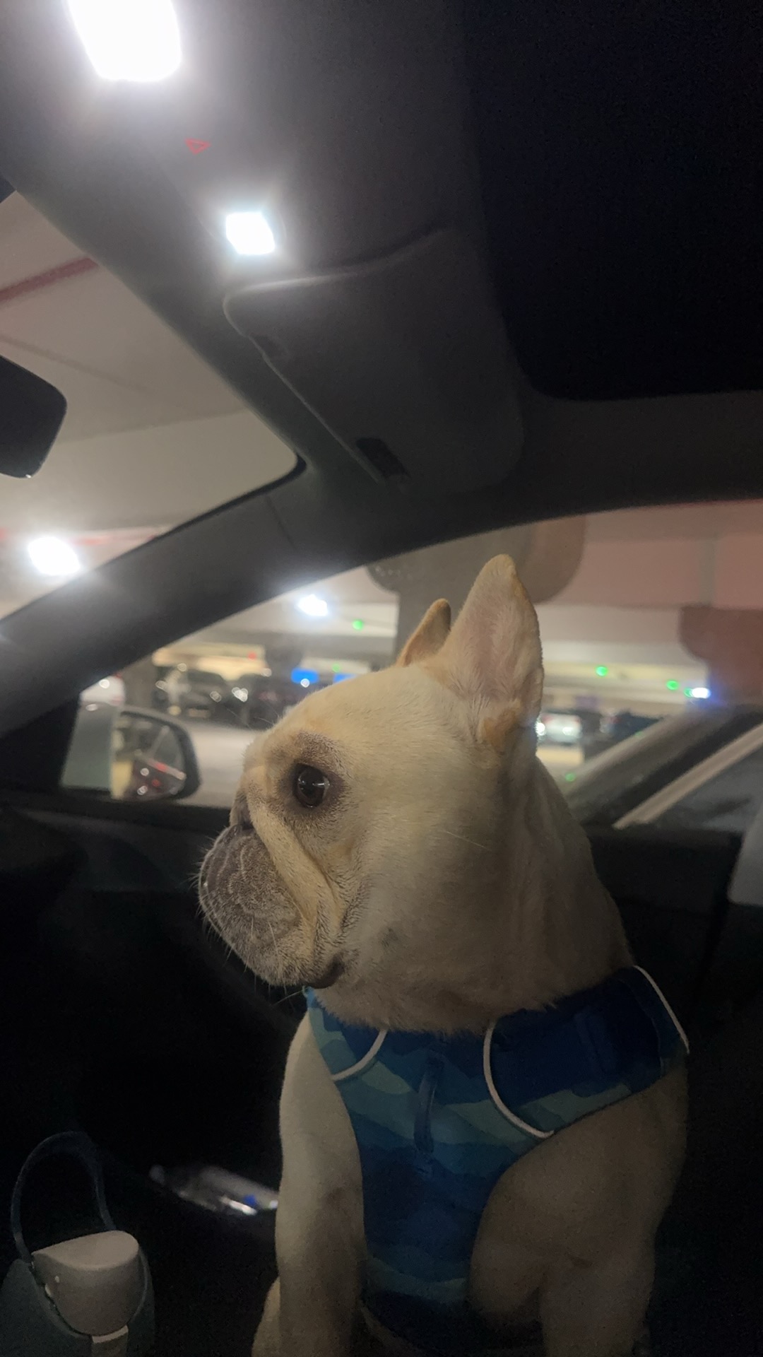 Dirk waiting at LAX